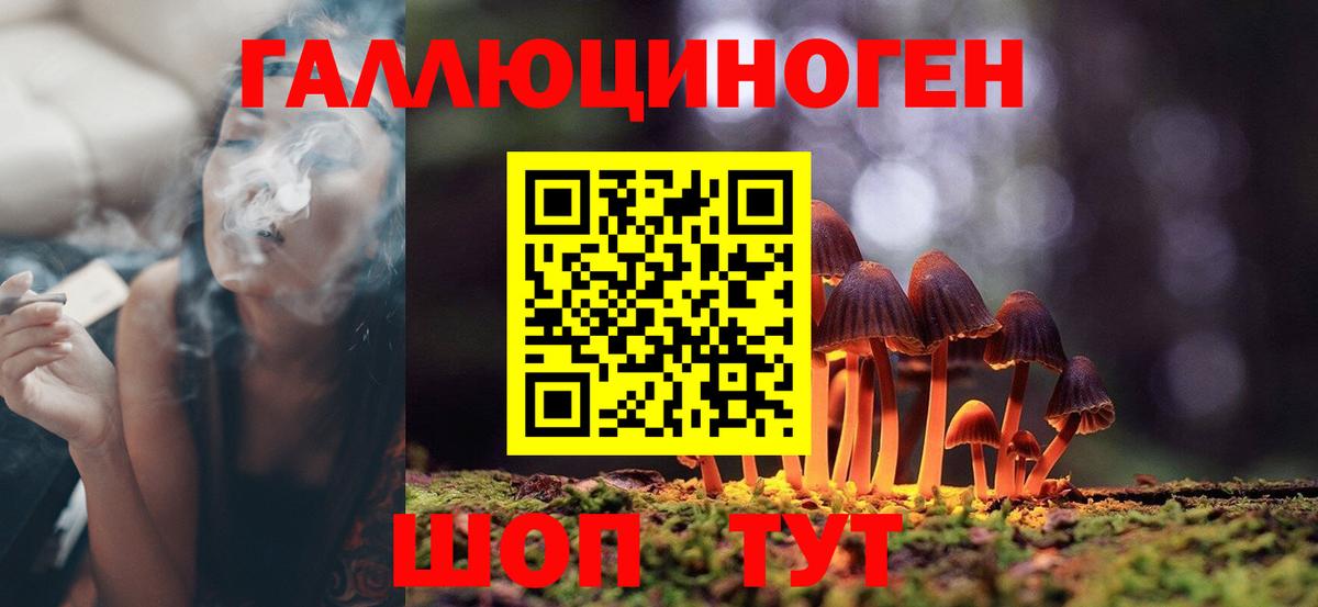 Галлюциногенные грибы Cubensis  Вход с VPN  Рузаевка 